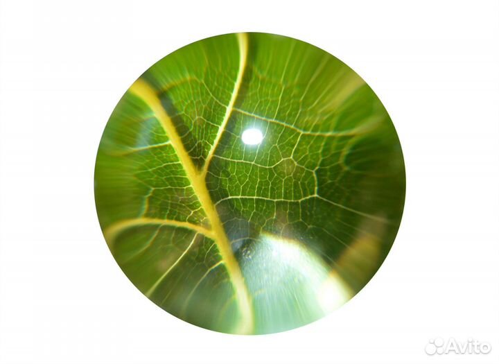 Стеклянный шар на подставке из оникса