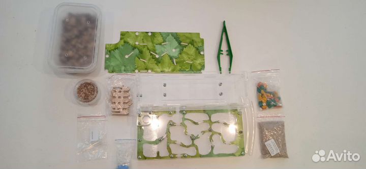 Муравьиная ферма бу (Формикарий)