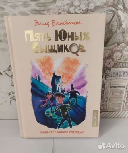 Нэнси Дрю, Дневник Никки и др