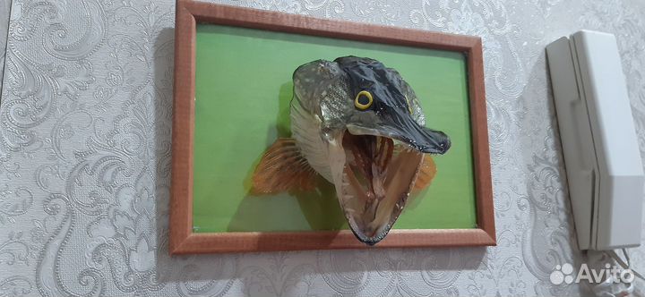 Чучело рыбы