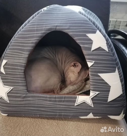 Домик новый для кошки или мини собачки