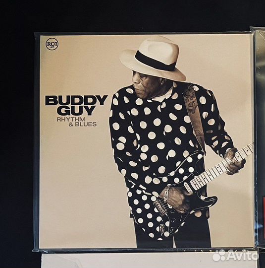 Пластинка Buddy Gyuy - Rhythm & blues