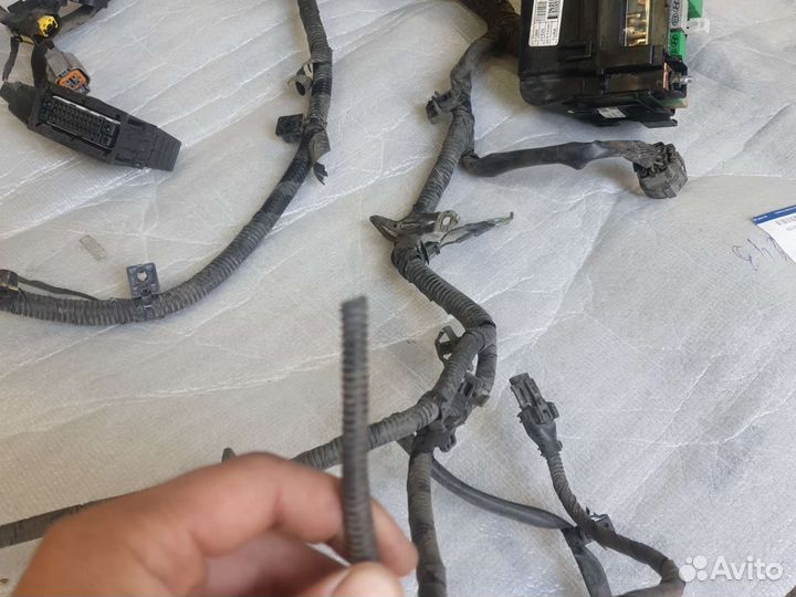 Проводка коса подкапотная киа рио 3 2011-17