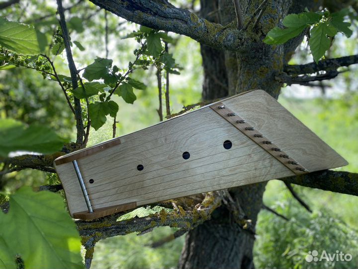 Гусли крыловидные звончатые 10 струн