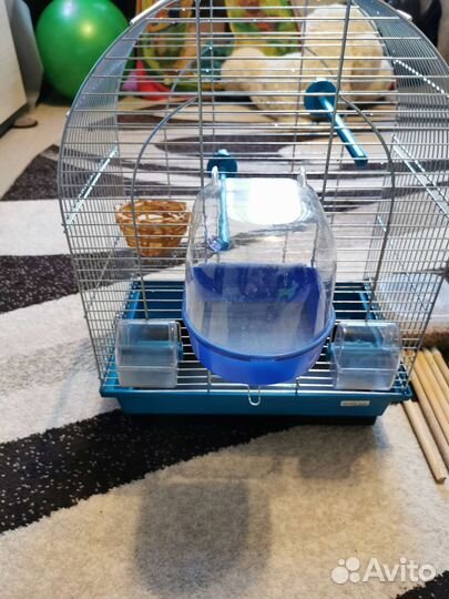 Клетка для птиц