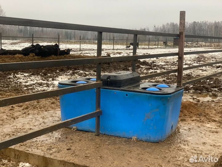 Поилка для крс пластиковая