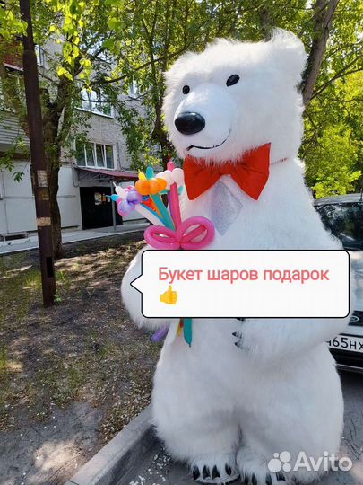 Танцующий Мишка Данилка