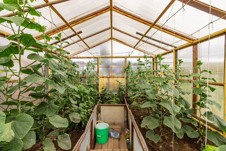 Дом 146 м² на участке 6,6 сот.