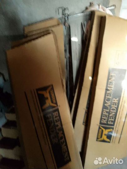 Передние крылья акцента