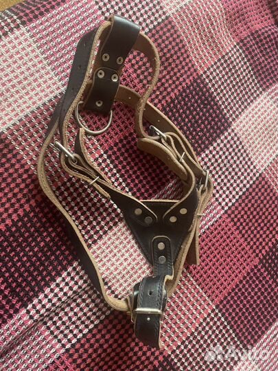 Шлейка из натуральной кожи плюс поводок