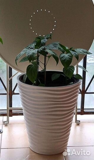 Цветочные горшки пластик б/у