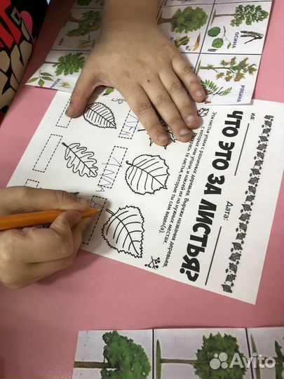 Школьные предметы с 1 кл.Подготовка к школе онлайн