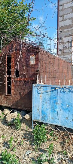 Голубятня продажа