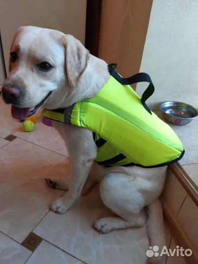 Жилет спасательный для собак