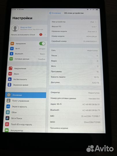 iPad mini 3