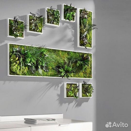 Мох.Картины. Соты.Озеленение.Фитостена.Дизайн