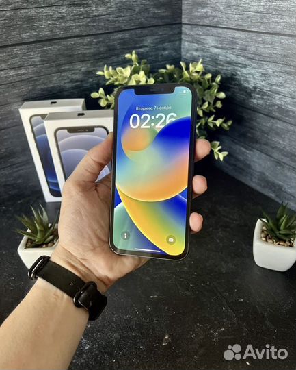 iPhone 12, 256 ГБ