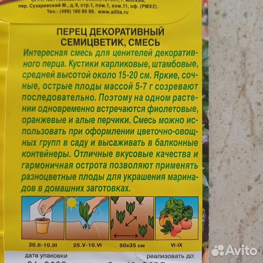 Перец комнатный острый