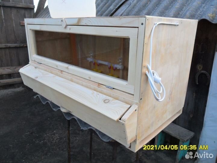 Брудер для суточной домашней птицы