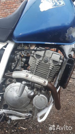 Suzuki DR250R