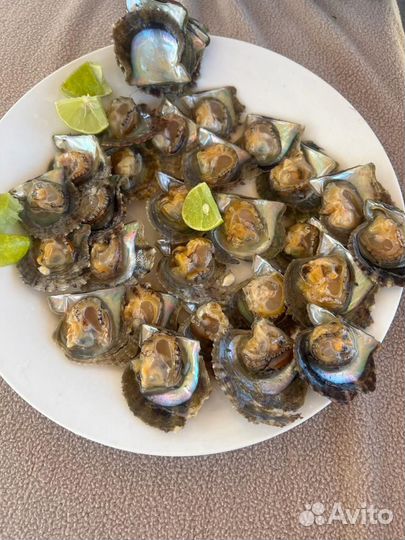 Отзыв об отдыхе в Венесуэле