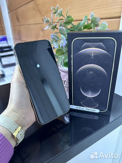 iPhone 12 Pro Max, 256 ГБ