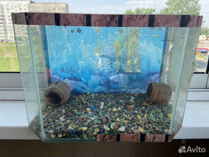 Аквариум