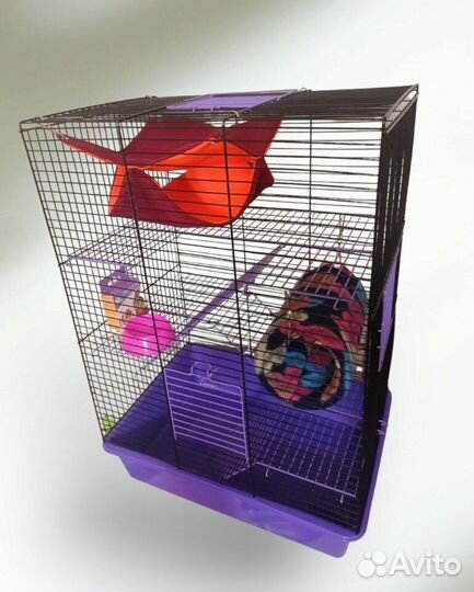 Крысята Дамбо крыса клетка