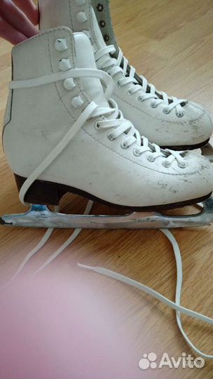 Коньки фигурные wifa