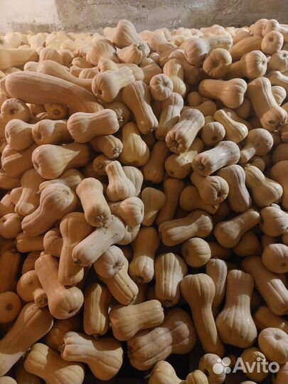 Цветная капуста