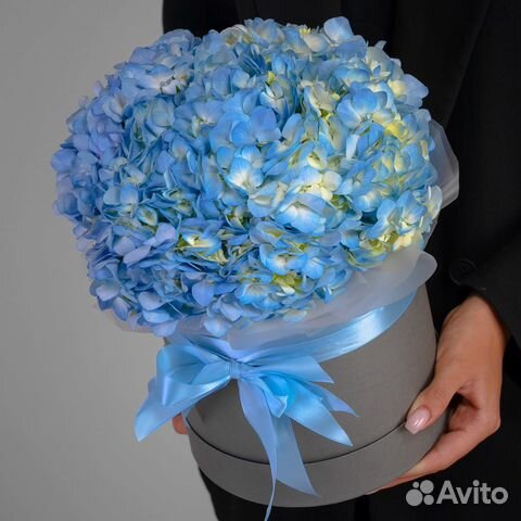 5 Голубых Гортензий в коробке