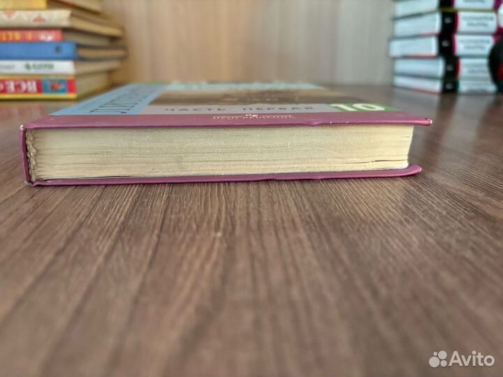 Учебник Литература 10 класс 1 часть Лебедев