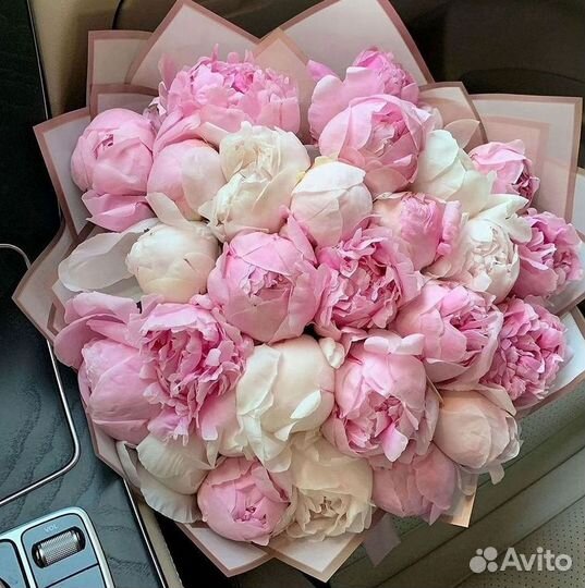 Пионы Букет пионов