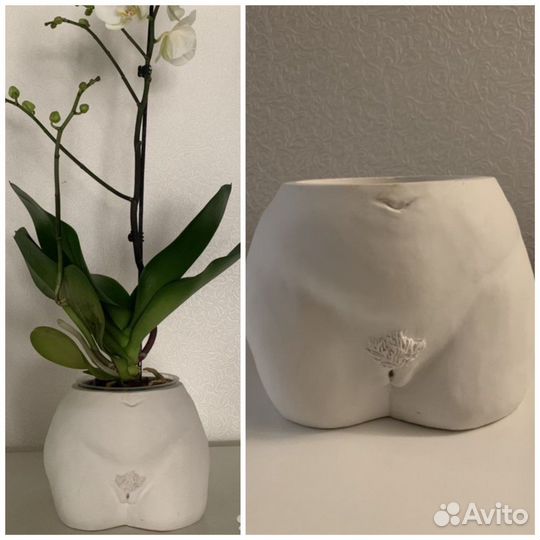 Гипсовое кашпо