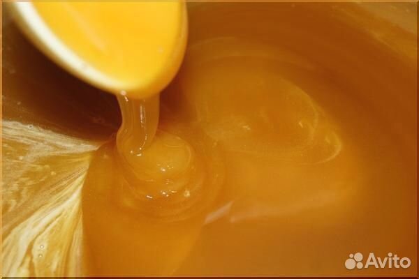 Мёд Липовый.Акация.Разнотравье оптом от 100 кг