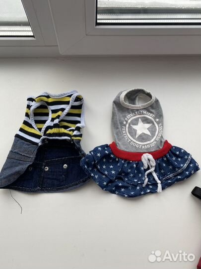 Одежду для маленькой собачки