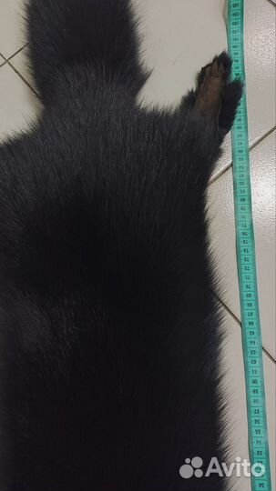 Шкура песца