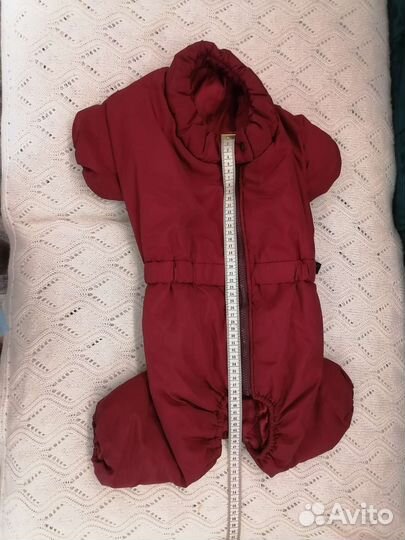 Комбинезон для собаки