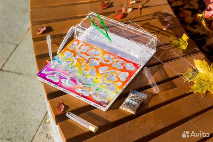 Ферма с муравьями / Формикарий