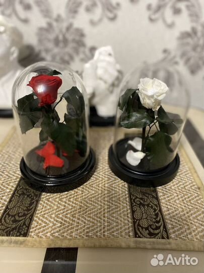 Розы в колбе