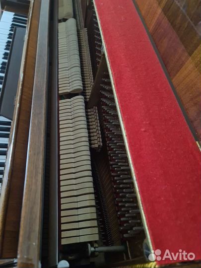 Фортепиано пианино Petrof 263687