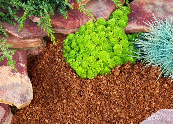 Гумус (кора сосны) 0-1