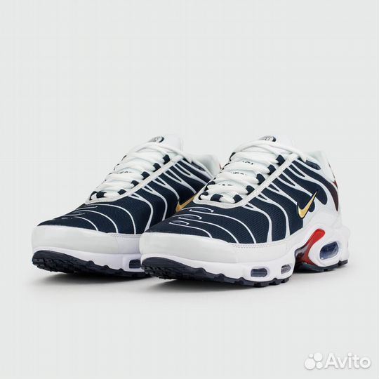 Кроссовки Nike Air Max Plus Tn