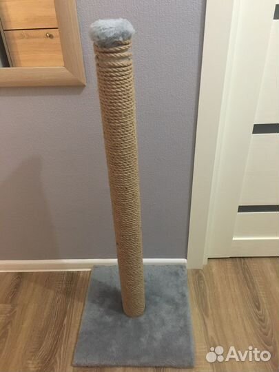 Когтеточка