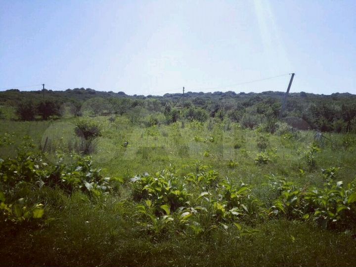 Участок 11 сот. (СНТ, ДНП)