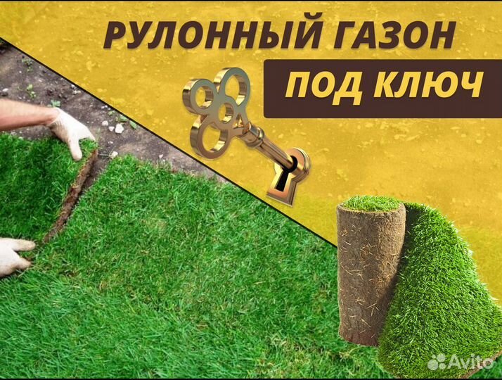 Рулонный газон с укладкой Элитный