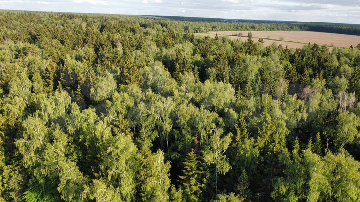 Участок 5,2 сот. (ИЖС)