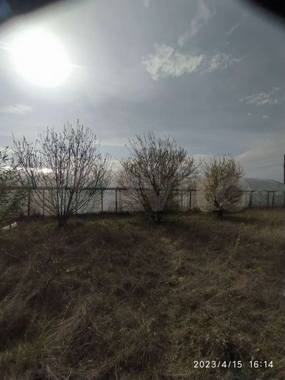 Участок 5 сот. (СНТ, ДНП)