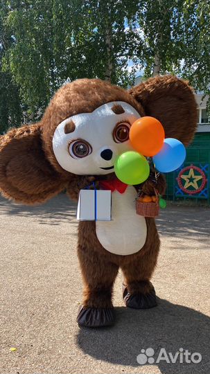 Экспресс поздравление