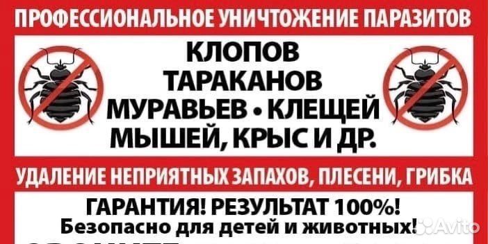 Уничтожение насекомых